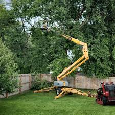 How Our Tree Care Process Works  in  Commerce, OK